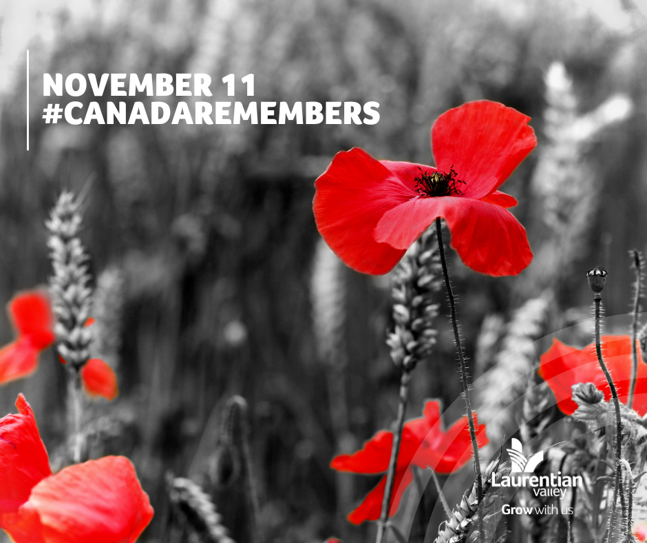 Black and white photo of poppies in a field with the colour red of the flower pronounced and the text ready #canadaremembers.